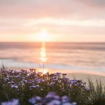 Efficiently Booking Budget Travel: Tips and Strategies